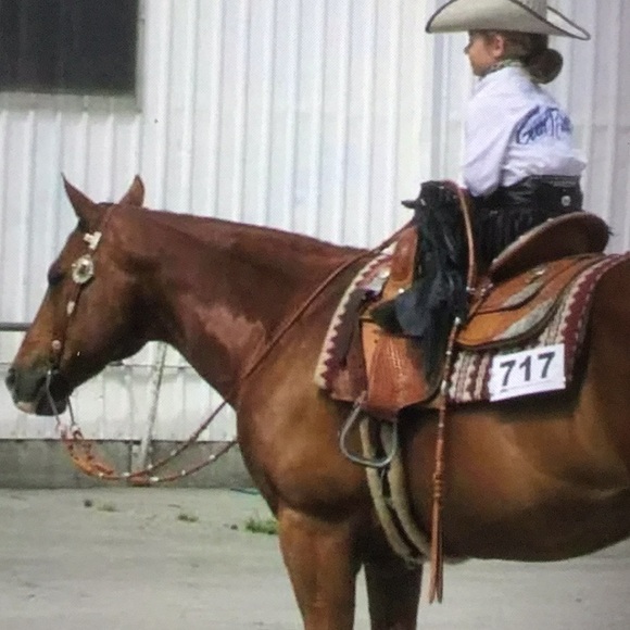 Vintage western Rommel romal reins western riding reining horsemanship AQHA ARAB - Picture 4 of 14